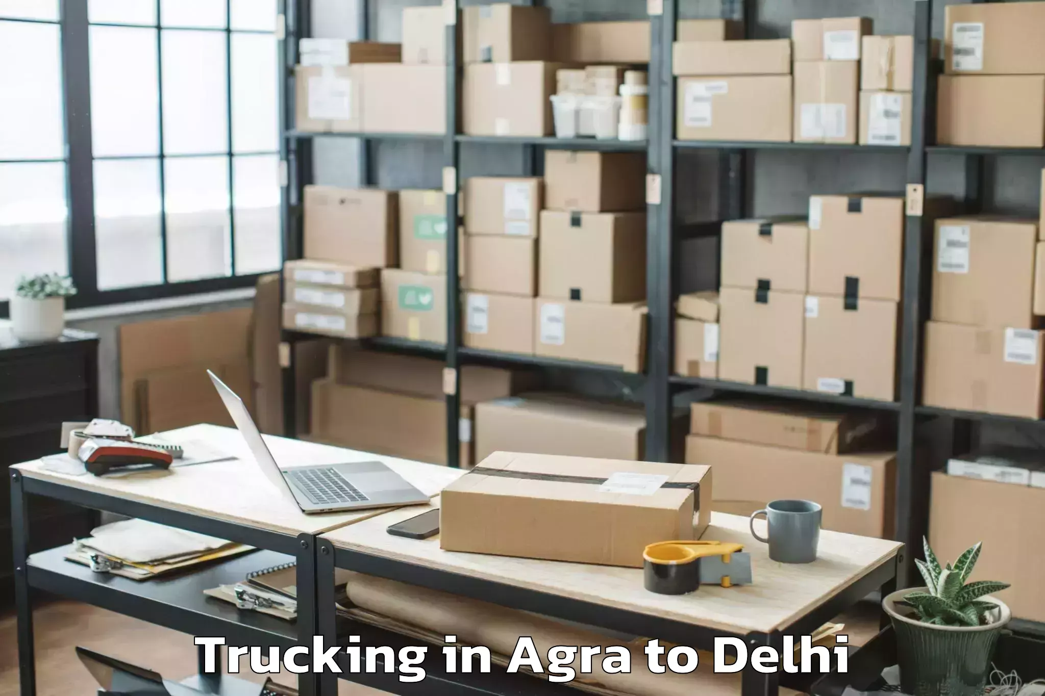 Professional Agra to Naraina Industrial Estate Trucking